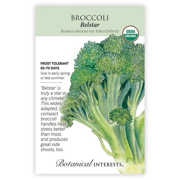 Botanical Interests Broccoli Belstar