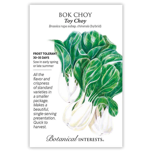 BOTAN BOK CHOY TOY CHOY HYBRID