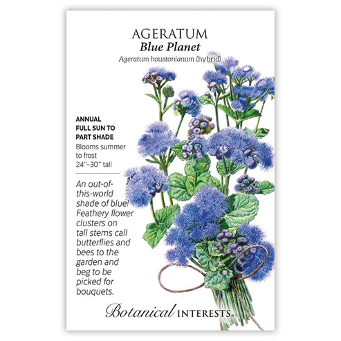 Ageratum Blue Planet Hybrid Plant Starter - Vibrant Blue Flowers For Your Garden