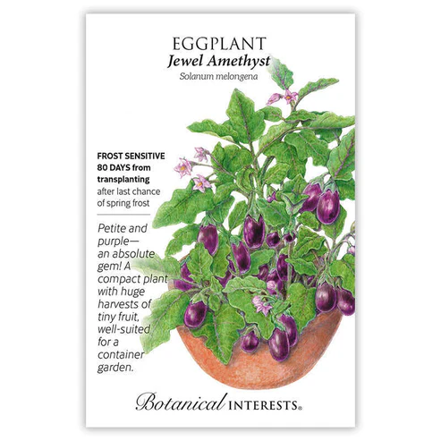 BOTAN EGGPLANT JEWEL AMETHYST