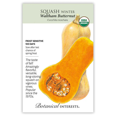 BOTAN SQUASH WINTER WALTHAM BUTT