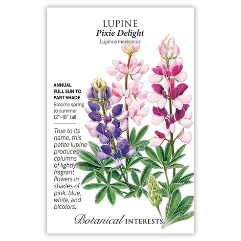 Lupine Pixie Delight Flower Seeds - Vibrant Colorful Blooms For Your Garden