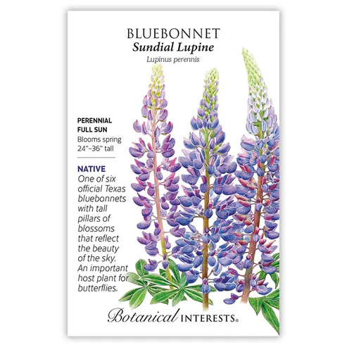 BOTAN BLUEBONNET SUNDIAL LUPINE
