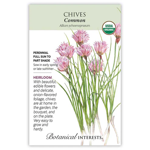 BOTAN CHIVES COMMON