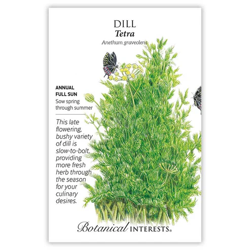 BOTAN DILL TETRA