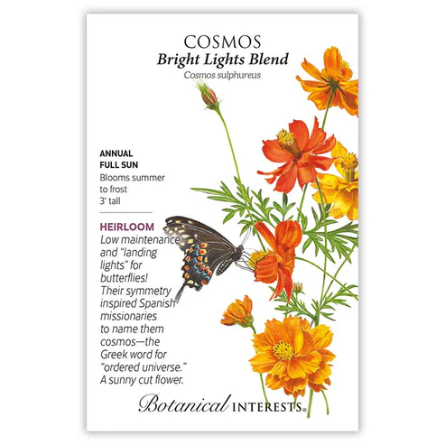 BOTAN COSMOS BRIGHT LIGHTS BLEND