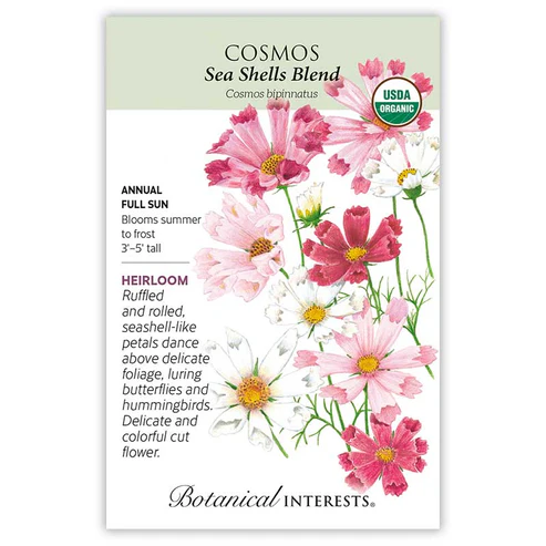 BOTAN COSMOS SEA SHELLS BLEND