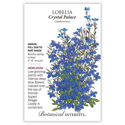 BOTAN LOBELIA CRYSTAL PALACE