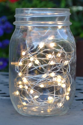 100L B/O Micro Light