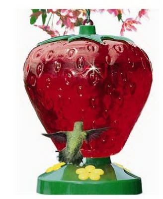 48-oz. Strawberry Style Hummingbird Feeder