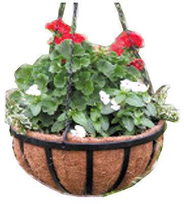 Wrought Iron Traditional Hanging Basket, 12-In.