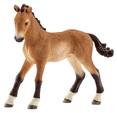 BRN Tenn Walker Foal