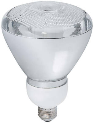 23-Watt Outdoor CFL Flood Light Bulbs, 2-Pk.