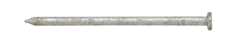 Stallion 6D 2 in. L Common Hot-Dipped Galvanized Steel Nail Smooth Shank Flat 5 lb.