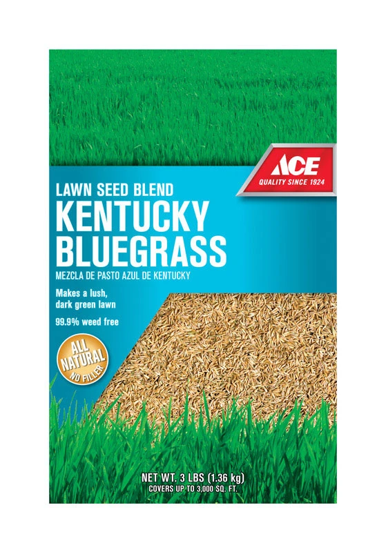 Ace Kentucky Bluegrass Lawn Seed Blend 3 lb.