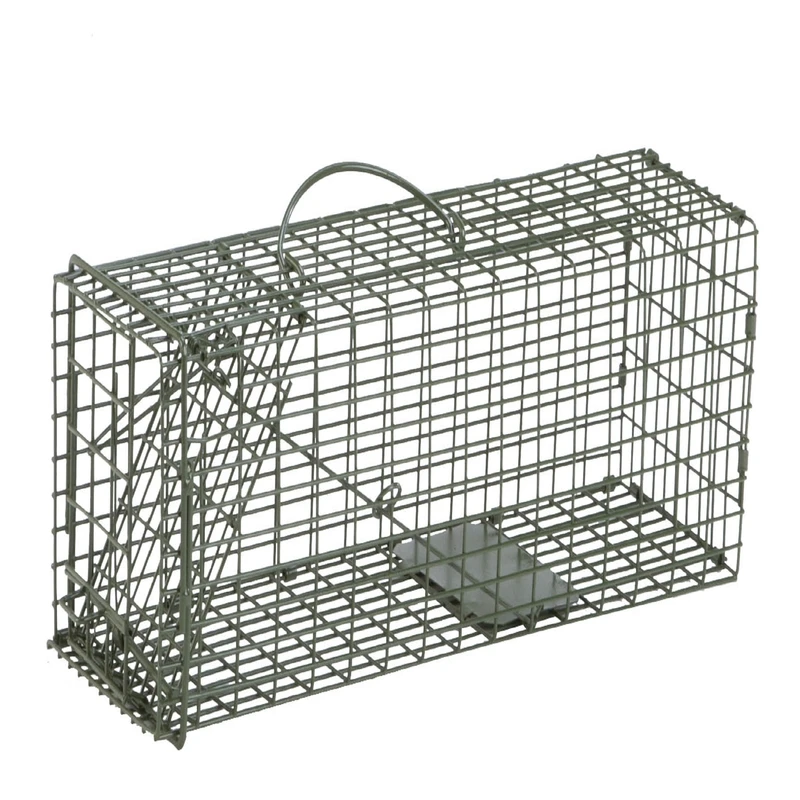 Duke Live Catch Cage Trap For Squirrels 1 pk