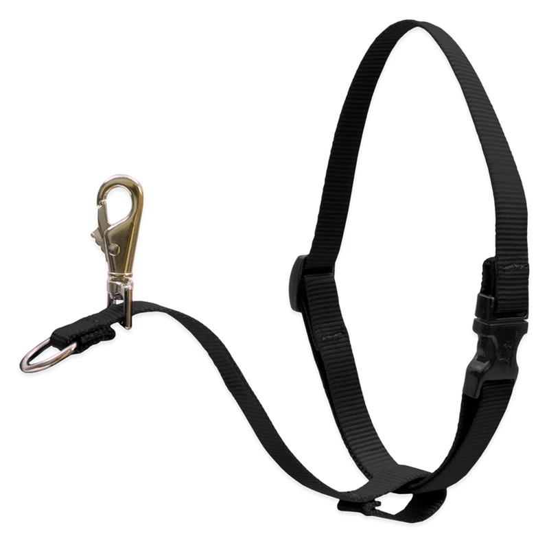 Lupine Pet Basic Solids Black Black Nylon Dog No Pull Harness