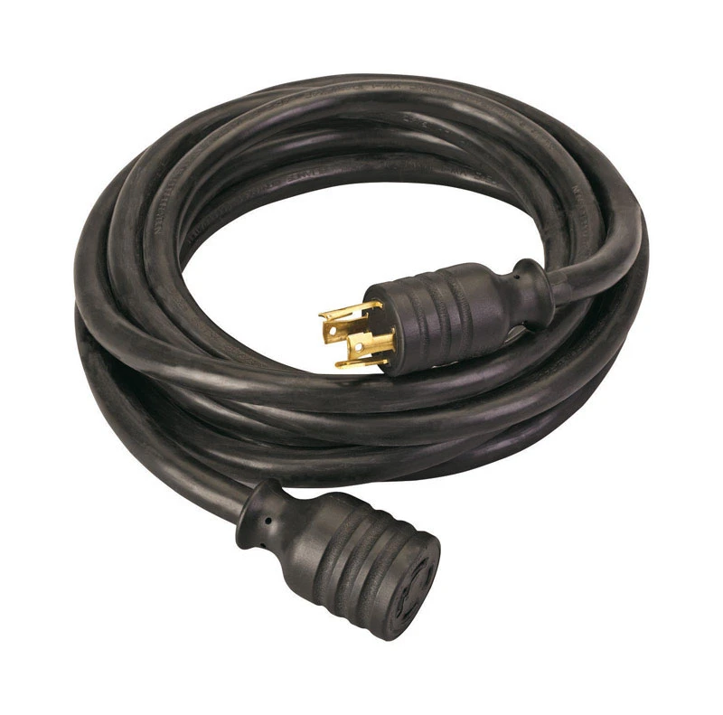 Reliance Controls 10/4 250 volt 20 ft. L Generator Cord