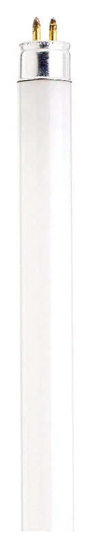 Satco 13 watts T5 0.63 in. Dia. x 20.91 in. L Fluorescent Bulb Cool White Linear 4200 K 1 pk