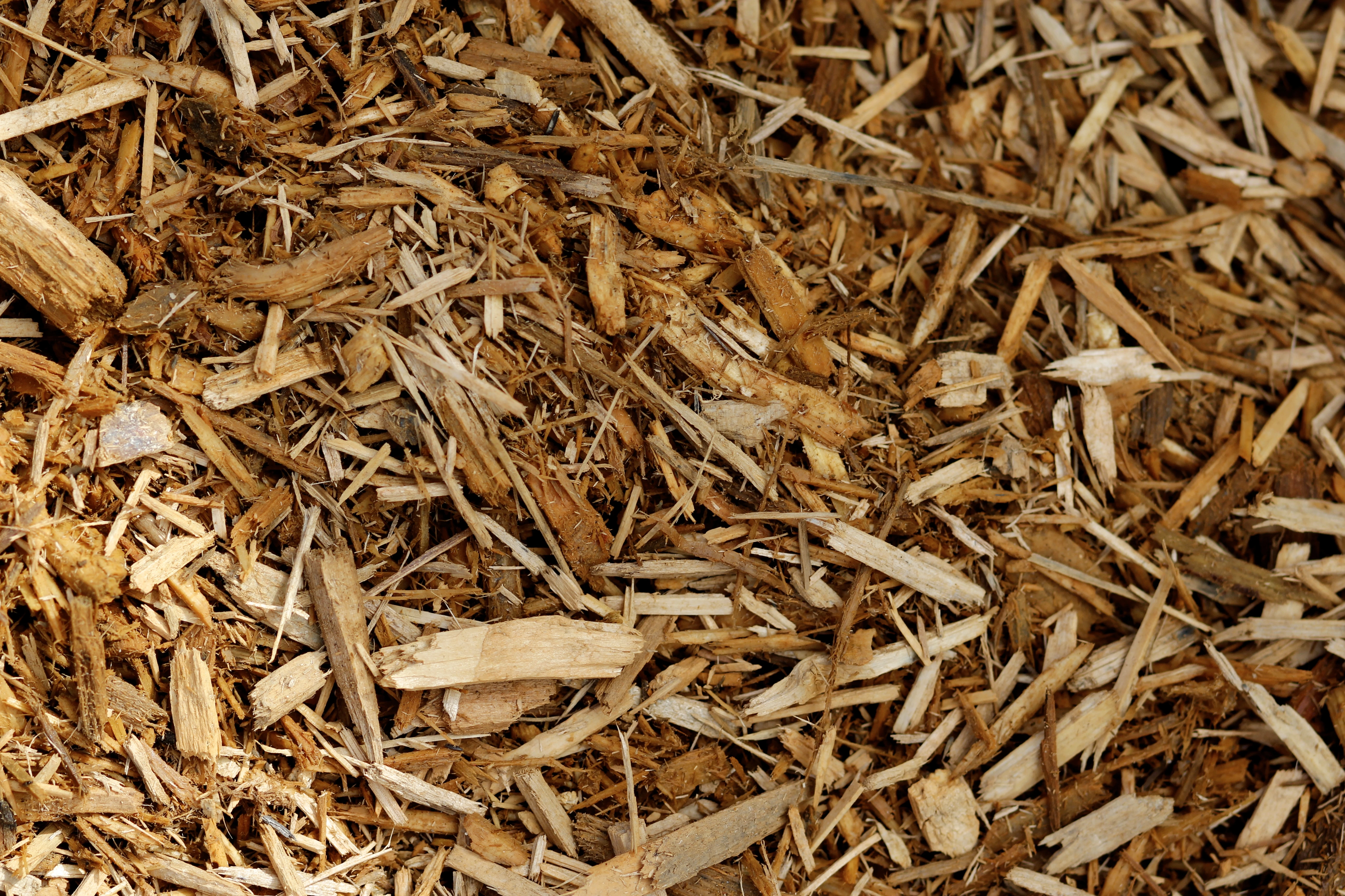 Golden Mulch - PER YARD - ORDER @ barkandstone.com