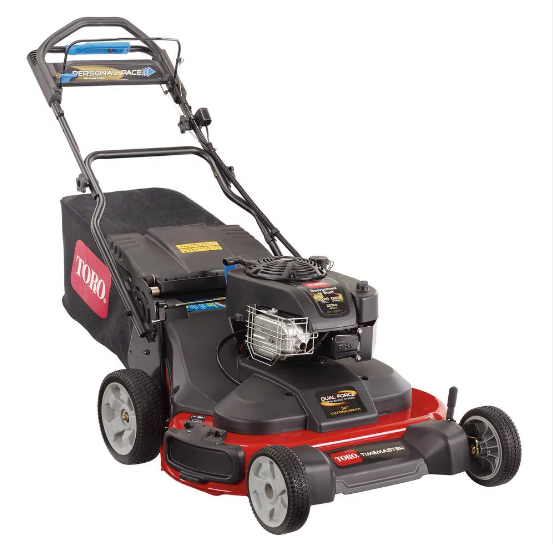 30 10.00* B&S223CC OHV, RWD, PER