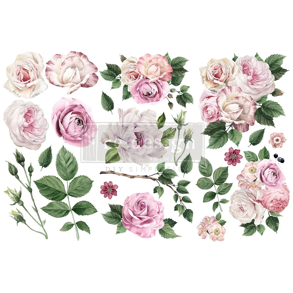 ROSE TRANSFER