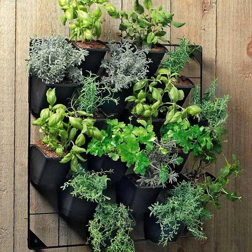 Stratco 12 Container Vertical Wall Garden