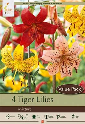 Netherland Bulbs Tiger Lilies - Mixture