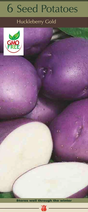 Netherland Bulb Boxed Seed Potatoes - Huckleberry Gold