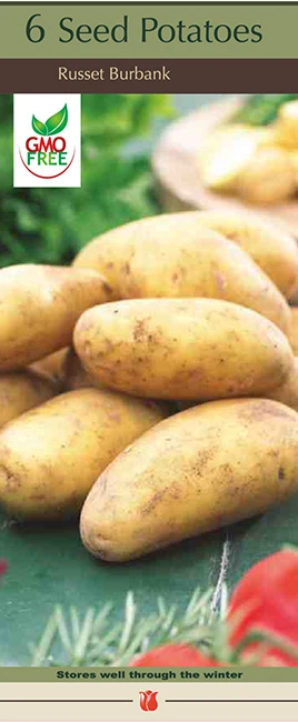 Netherland Bulb Boxed Seed Potatoes - Russet Burbank