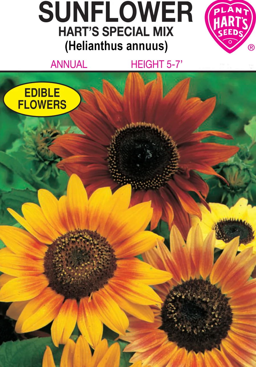 SUNFLOWER HART'S' SPECIAL MIX
