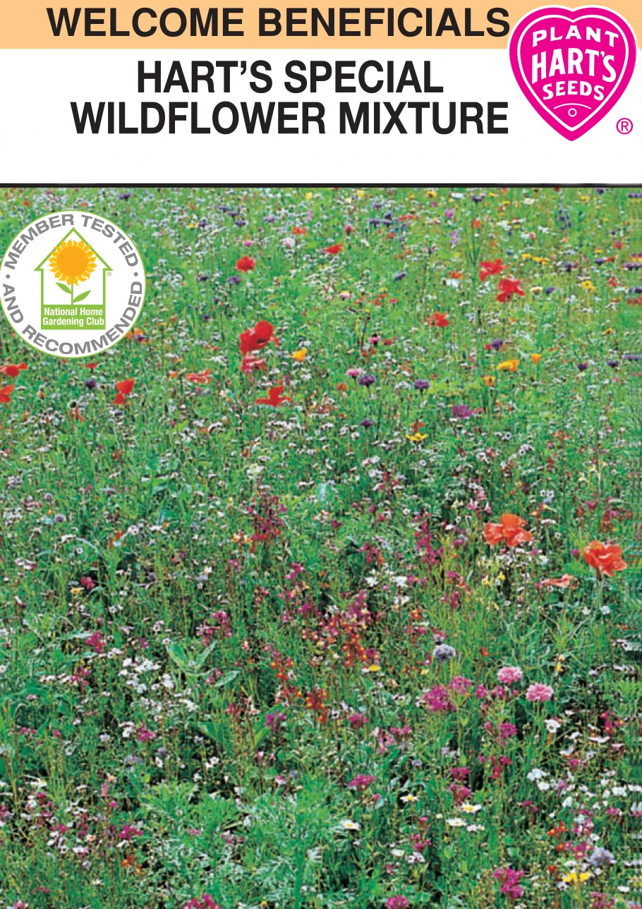 Wildflower Harts Mix