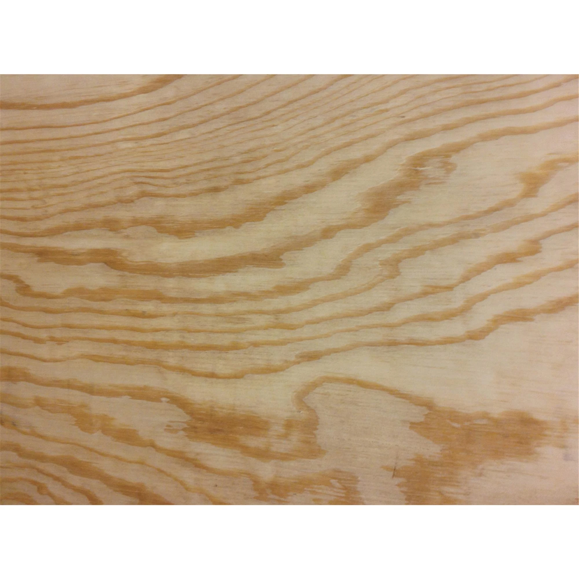 PLYWOOD 5/8 (19/32)BCX PT
