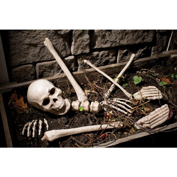 Bag O' Bones Halloween Decoration Prop For Spooky Decor