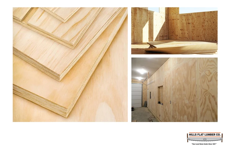 1/2 In. x 2 Ft. X 4 Ft. ACX Plywood
