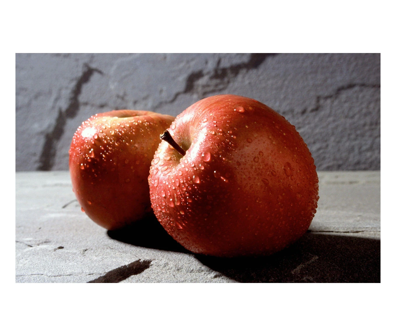 Fuji Apple | Bare Root