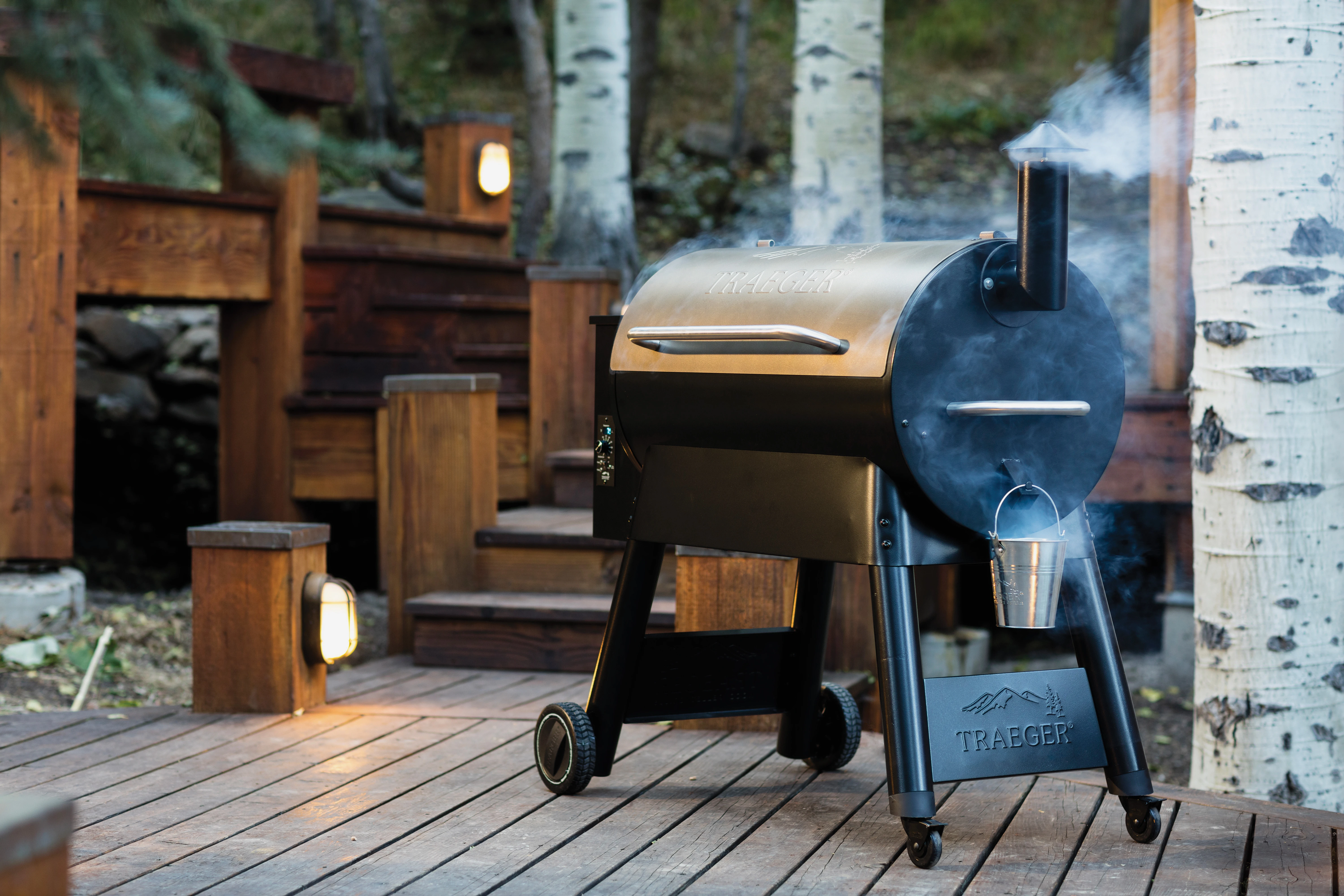 Traeger Pro Series 22  Wood Pellet Grill