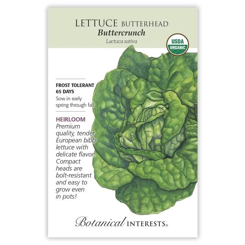 Buttercrunch Butterhead Lettuce Org
