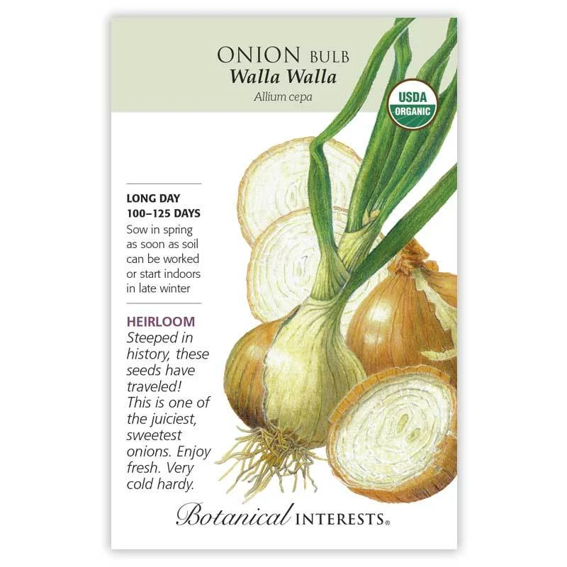 Organic Walla Walla Onion Seeds - 500 Milligrams For High Yield Bulbs