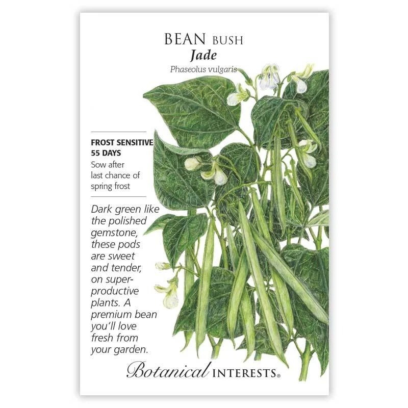 Bean Bush Green Jade