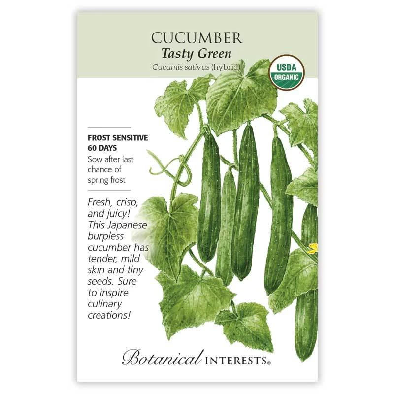 Organc Tasty Green Japanese Cucumber - 12 Seeds