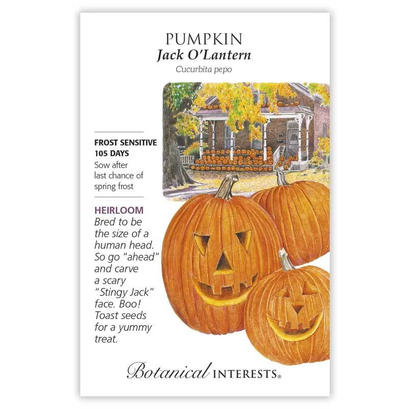 Pumpkin Jack O'Lantern