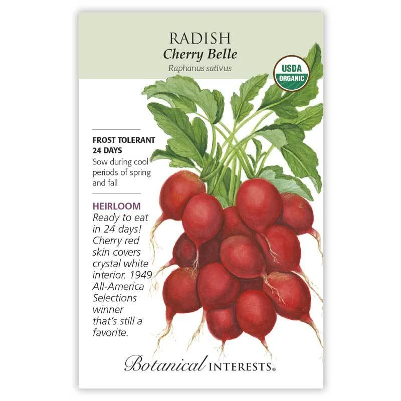 Radish Cherry Belle