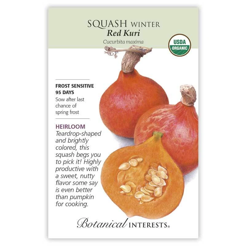 Organic Red Kuri Winter Squash Seeds - Premium Quality For Home Gardening