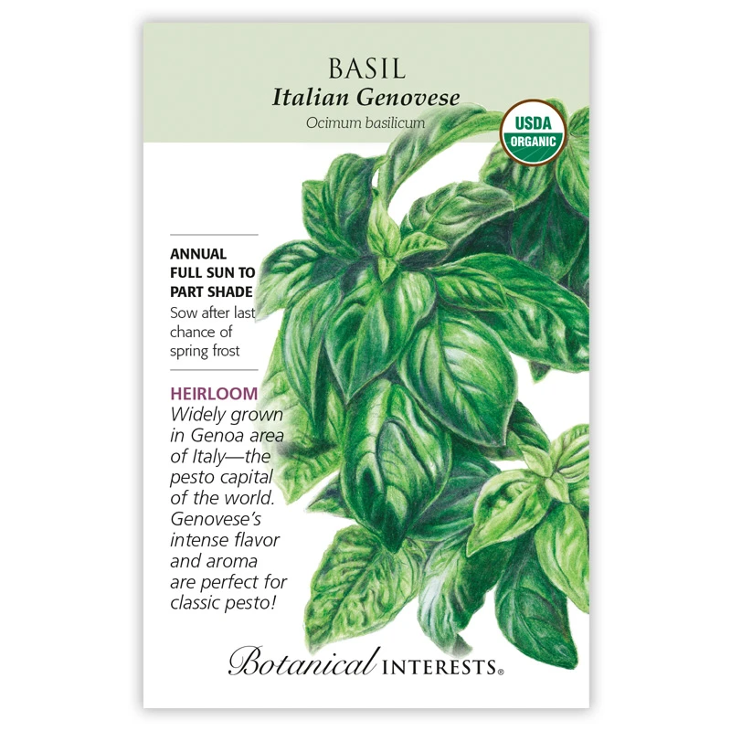 Basil Italian Genovese Org