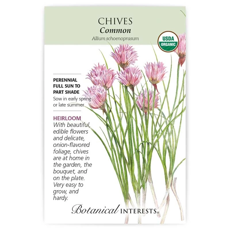 Chives Common