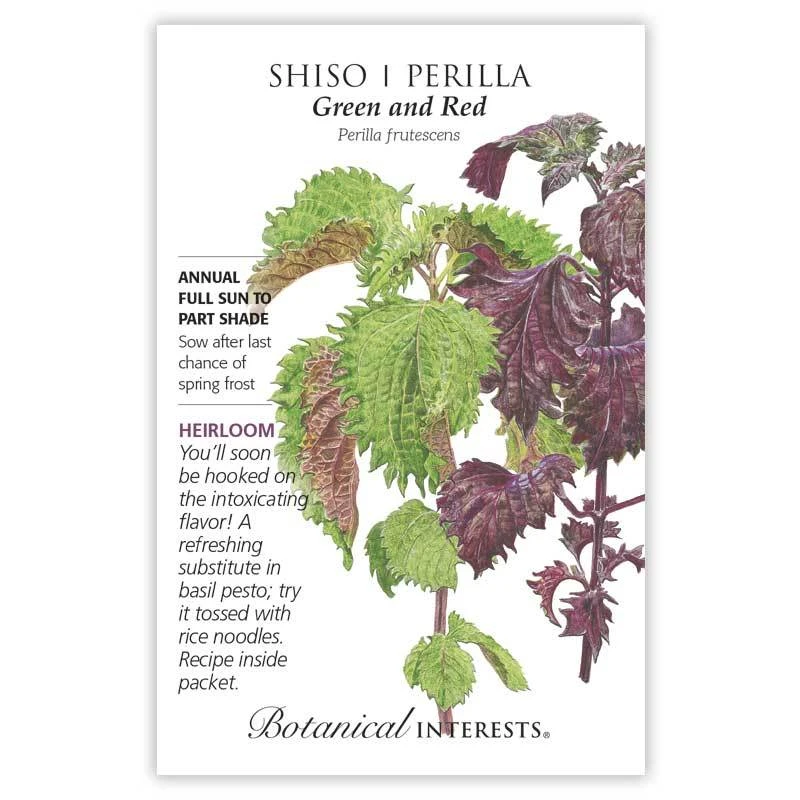 Green And Red Shiso Perilla Seeds - 500 Milligrams For Herb Gardens
