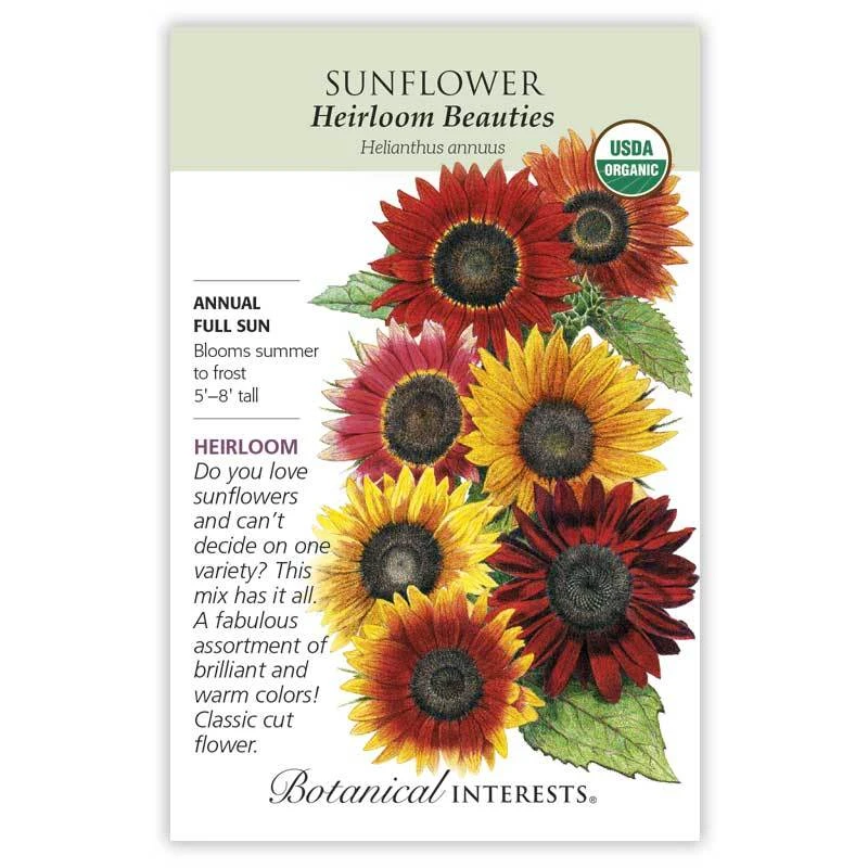 Sunflower Heirloom Beauties Orga