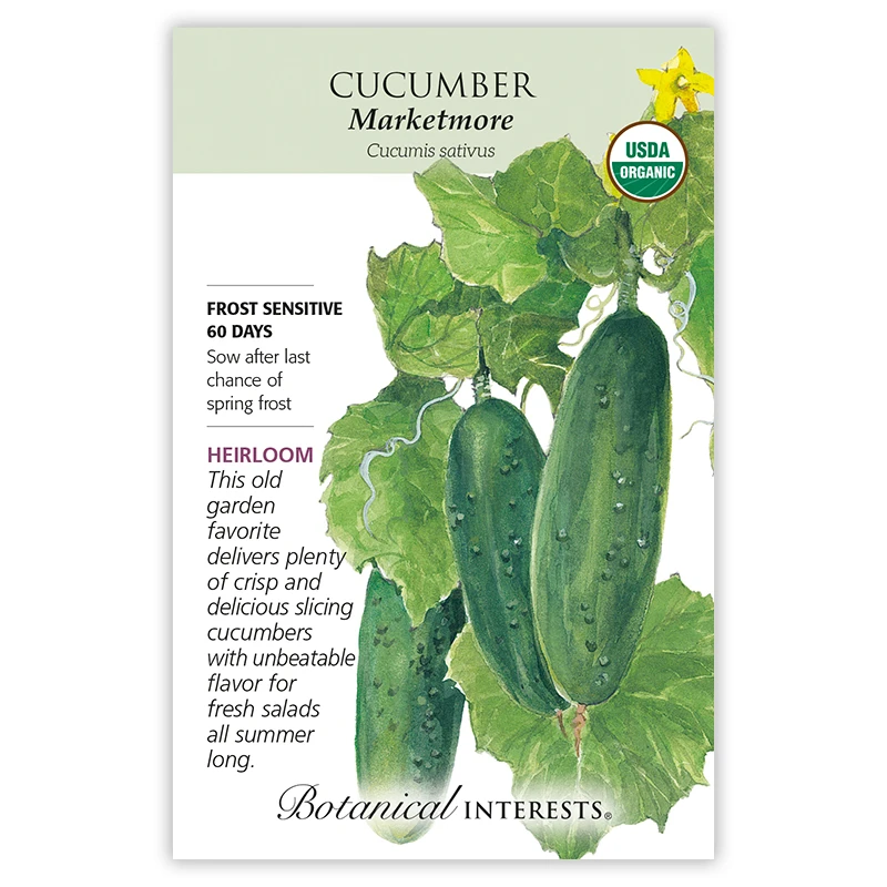 BOTAN CUCUMBER MARKETMORE ORG