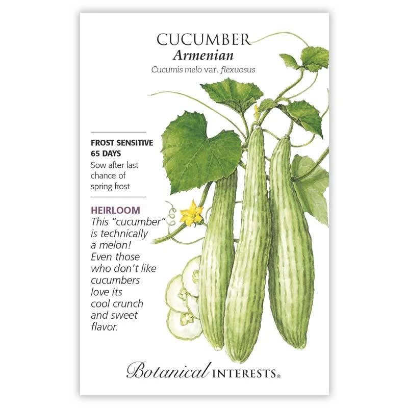 Radish Rat's Tail